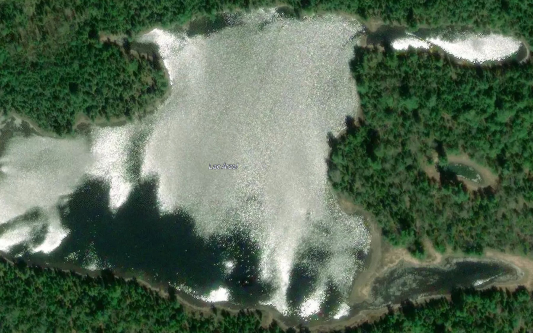Satellite map of the Lac Arzal