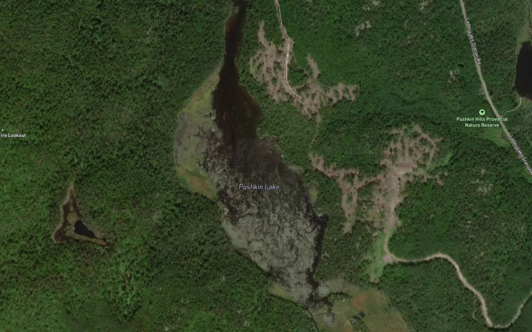 Satellite map of the Pushkin Lake