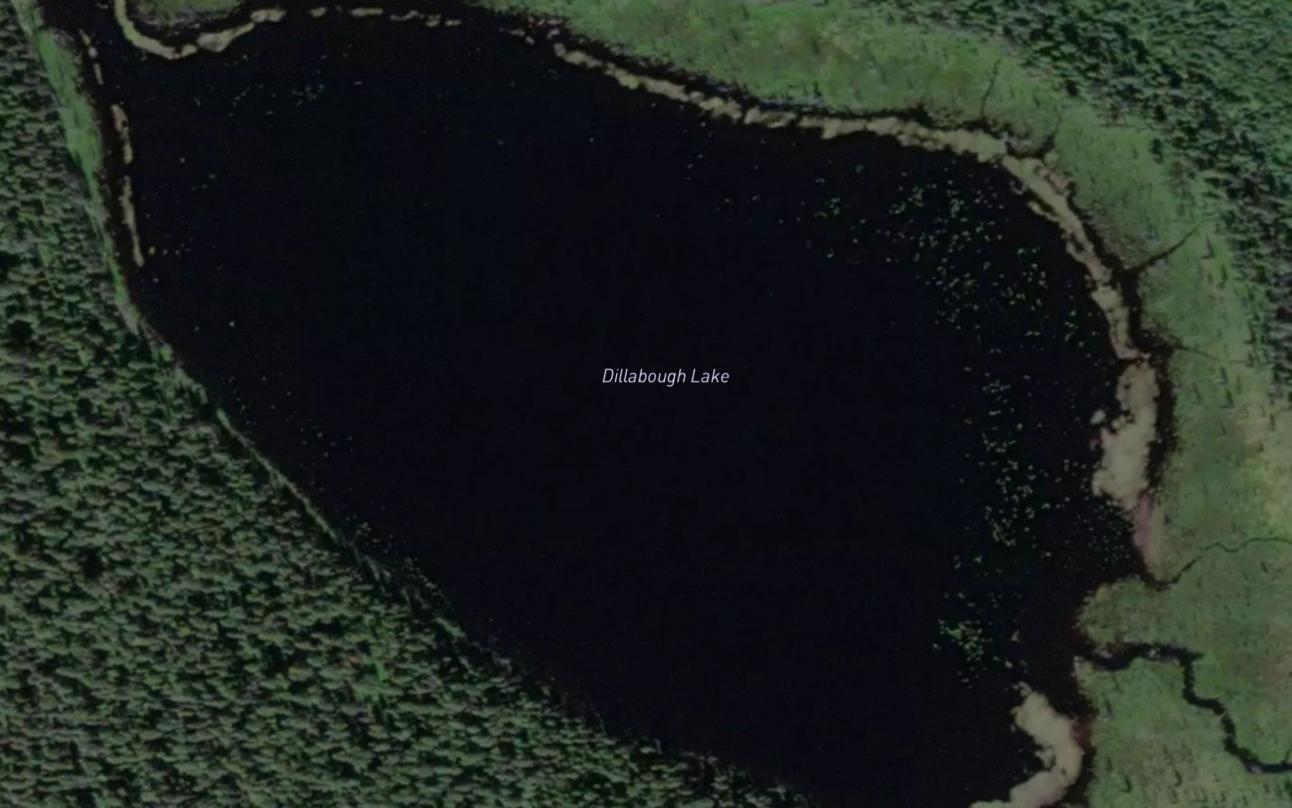 Dillabough Lake