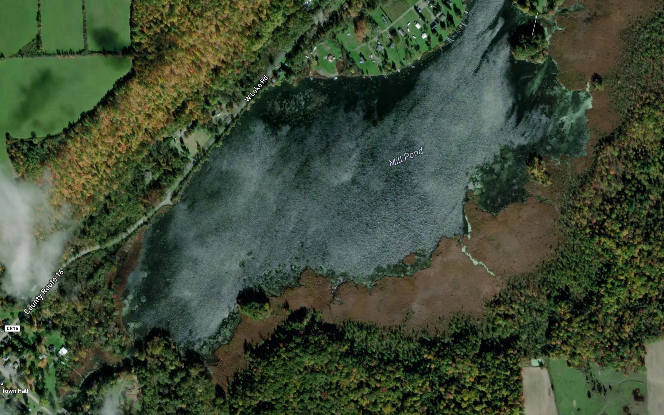 Mill Pond