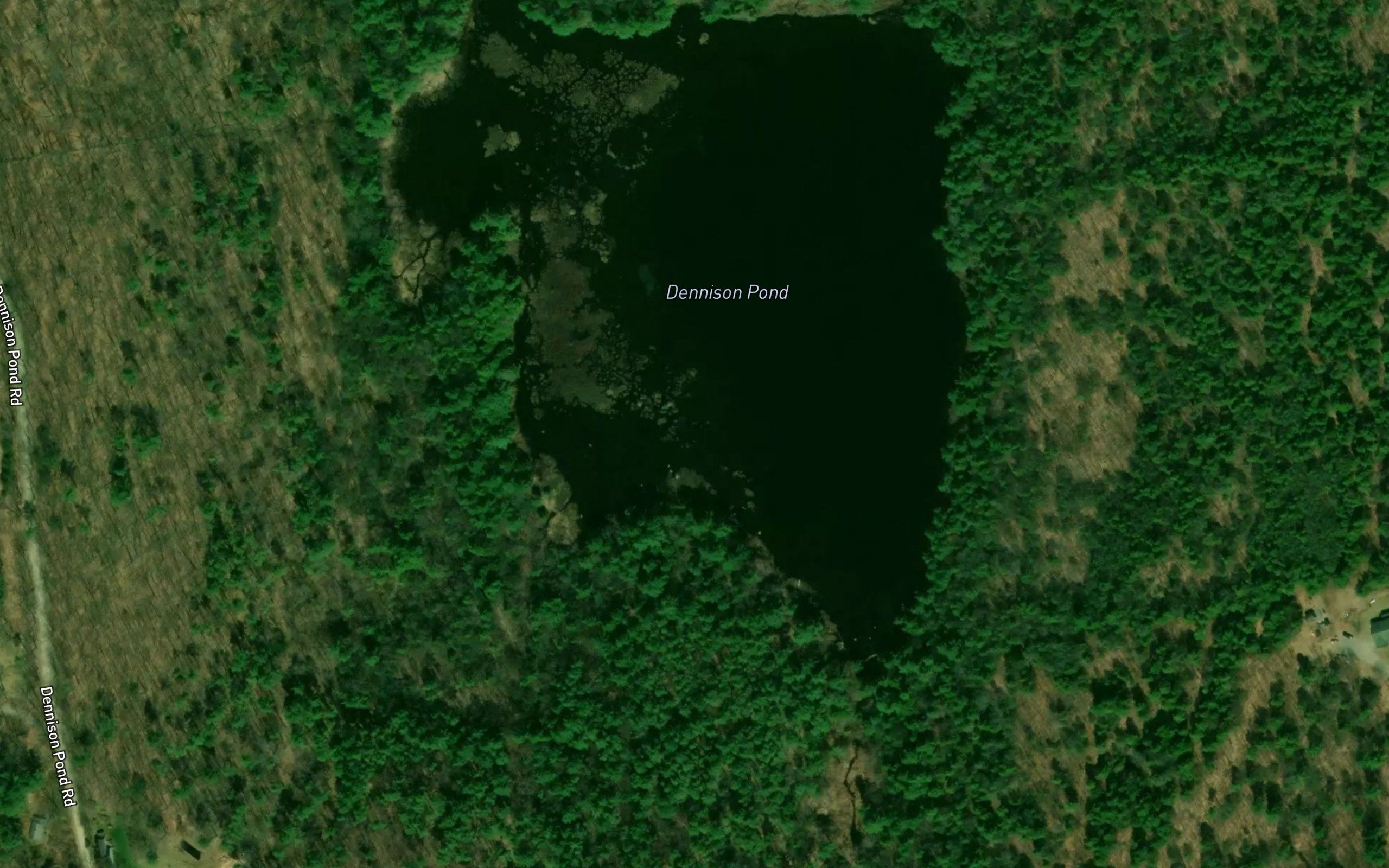 Dennison Pond