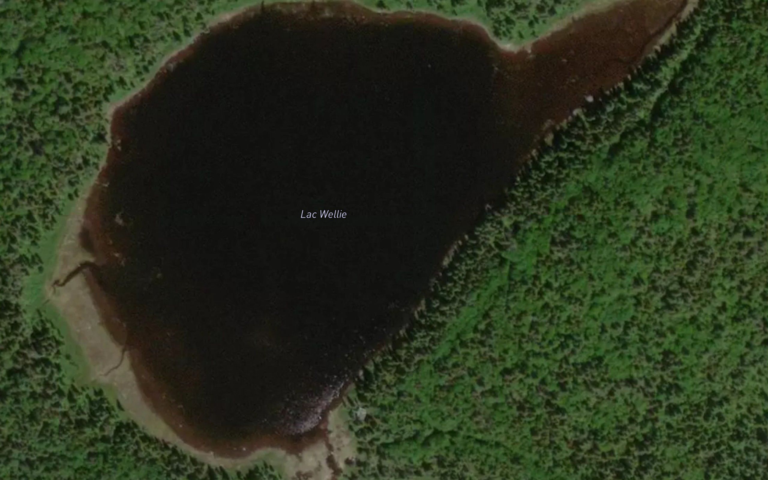 Lac Wellie