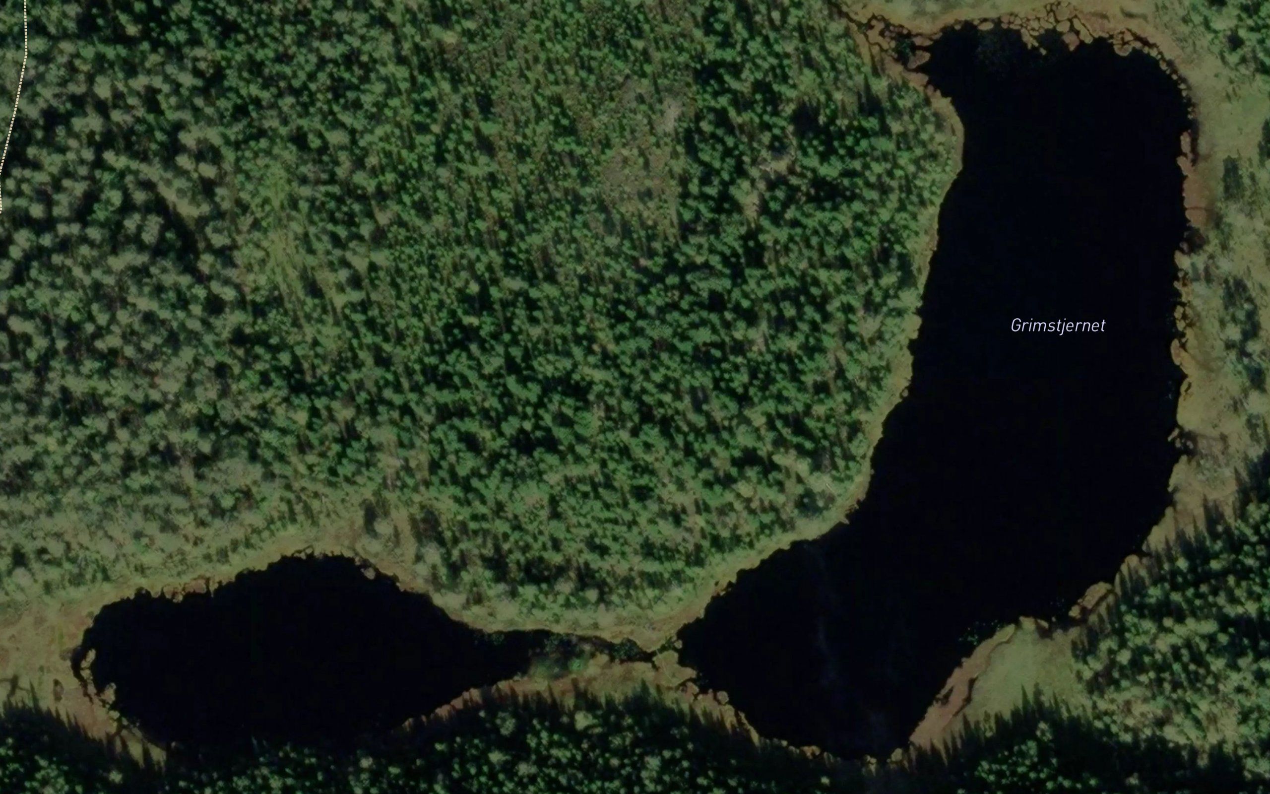 Grimstjernet