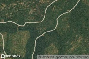 North Fork Chickadee Creek