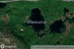 Gronlivatnet