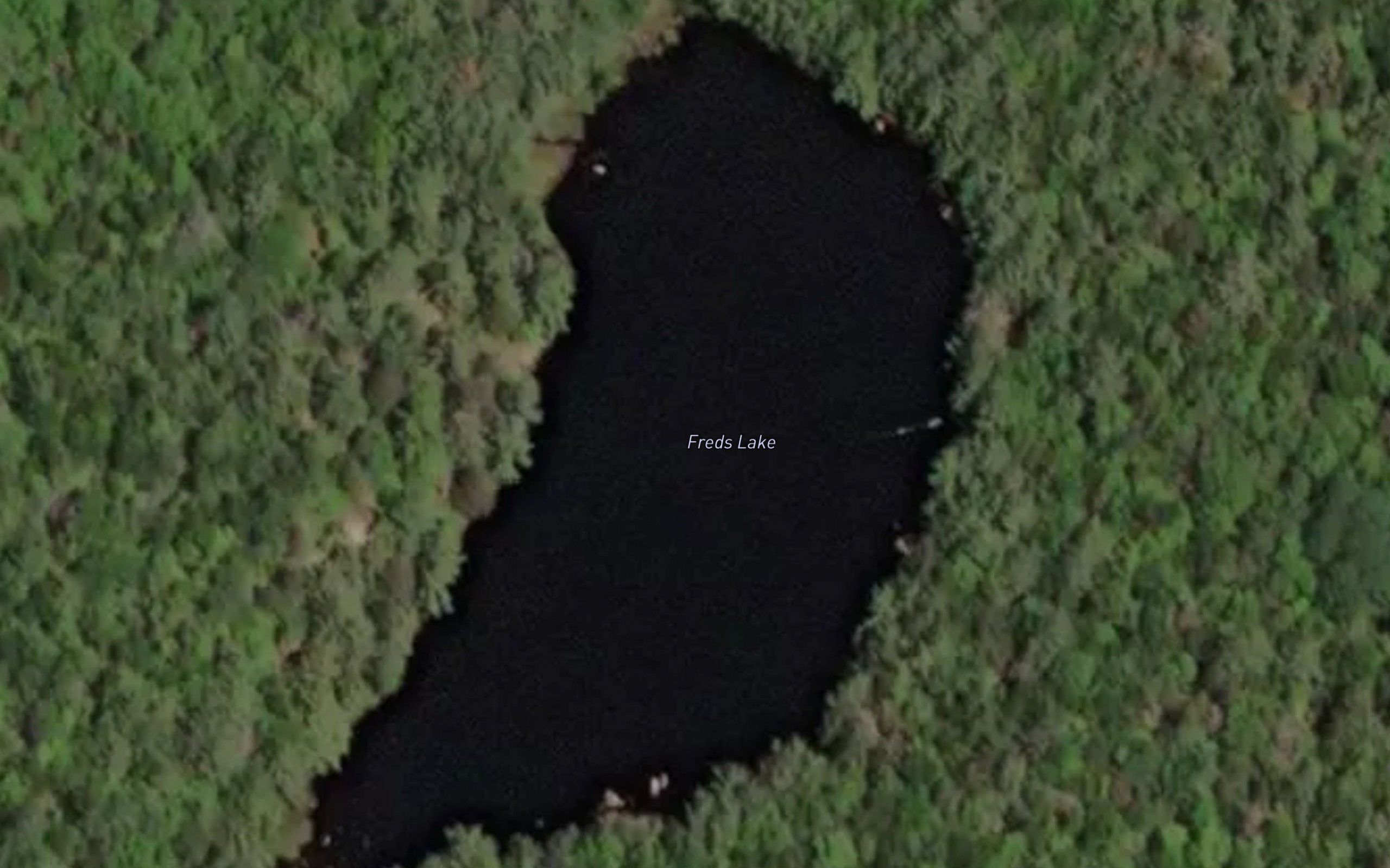 Freds Lake