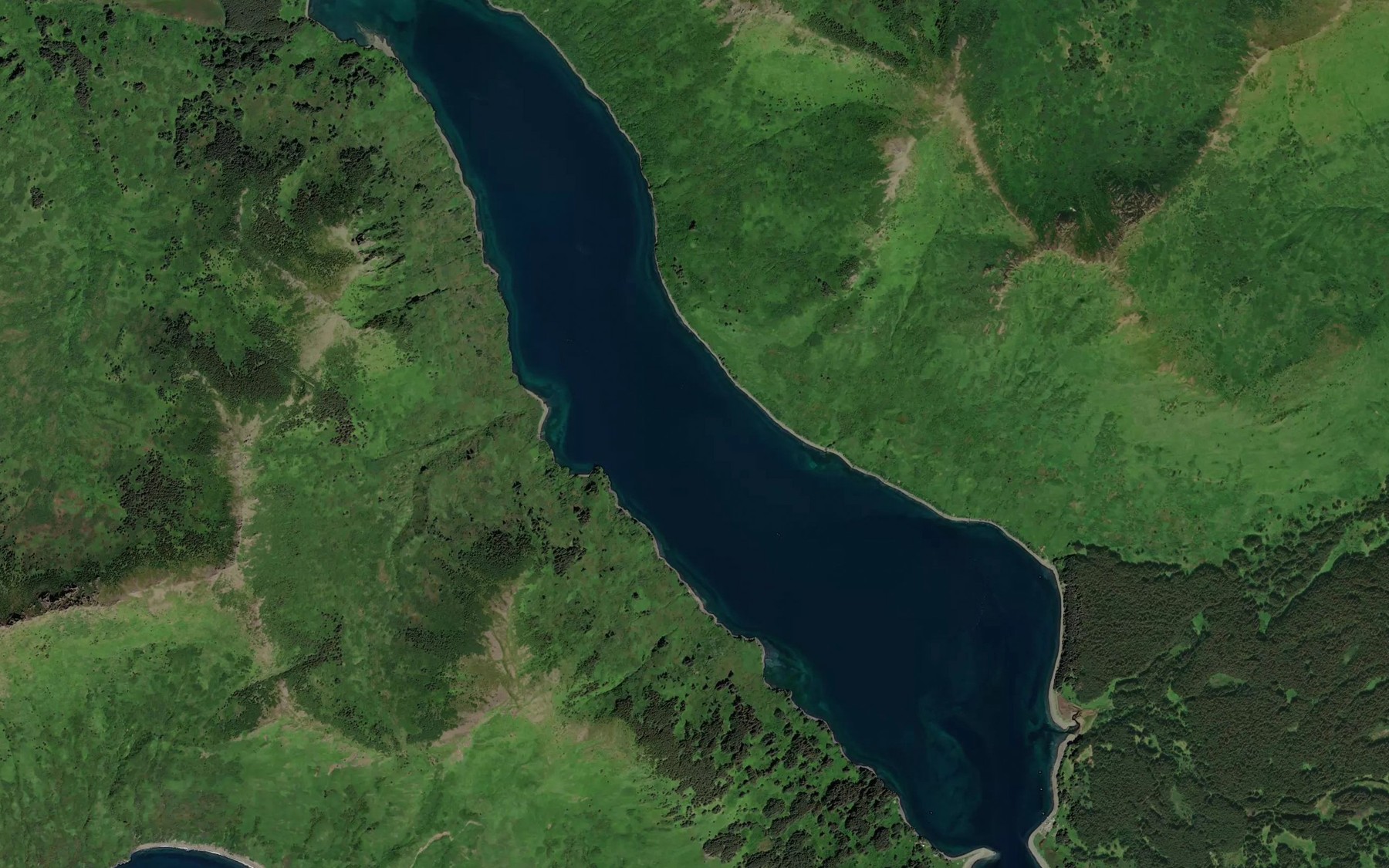 Satellite map of the Onion Bay