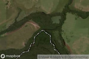 Arroyo del Sauce Chico