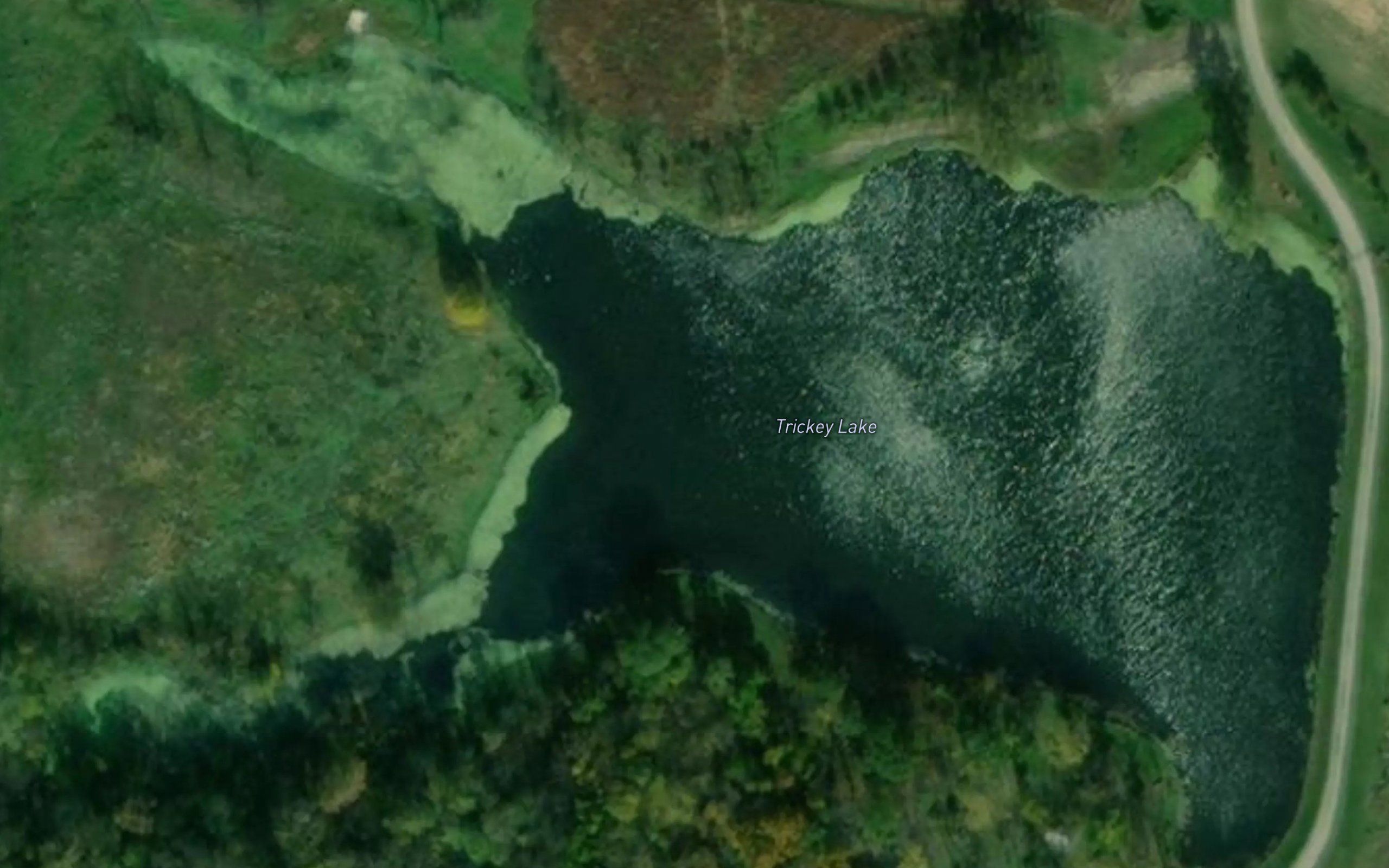 Trickey Lake