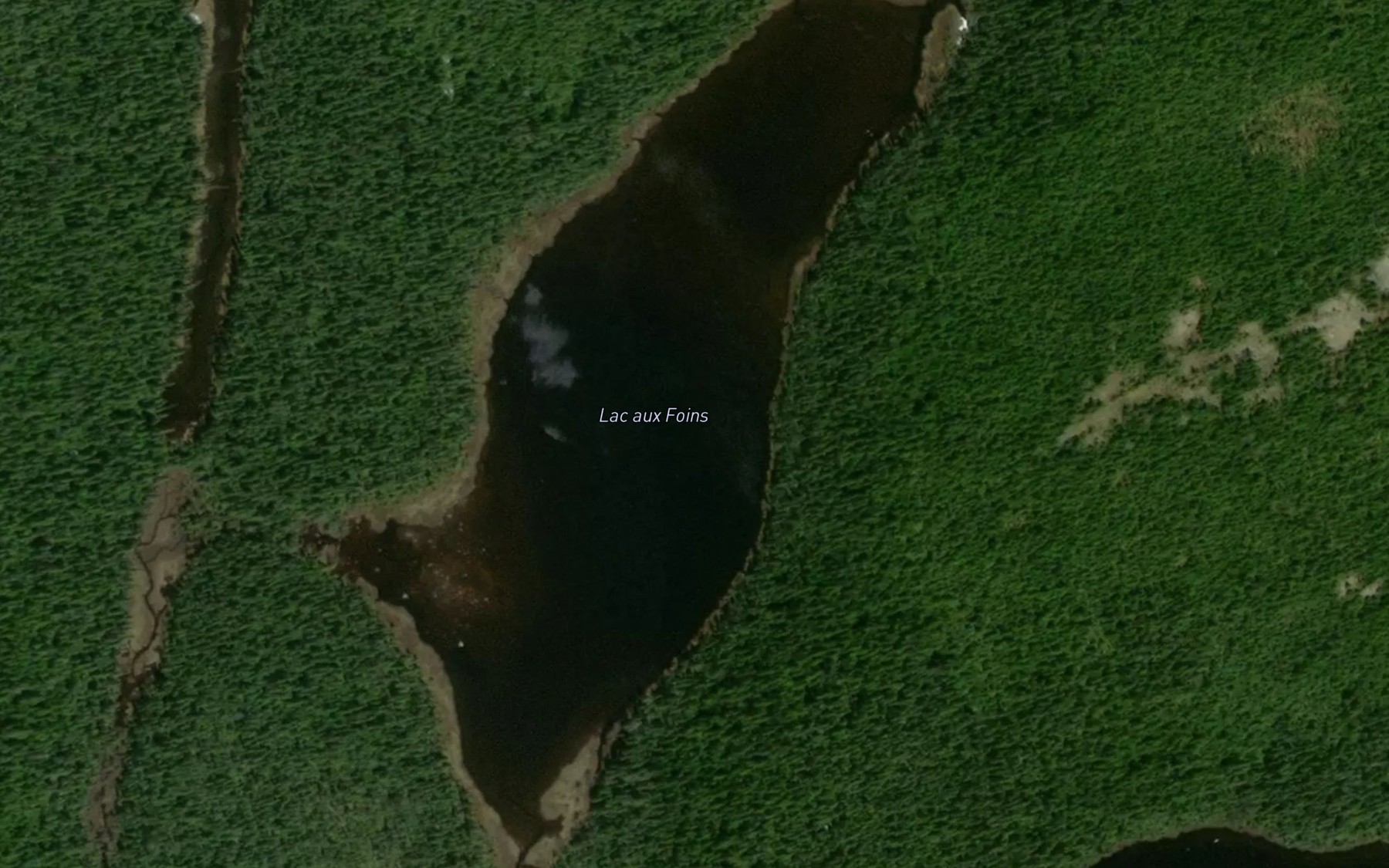 Satellite map of the Lac aux Foins