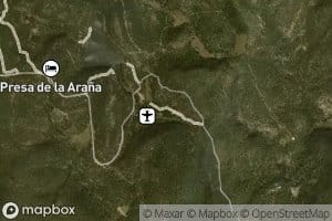 Las Almas Olvidadizas