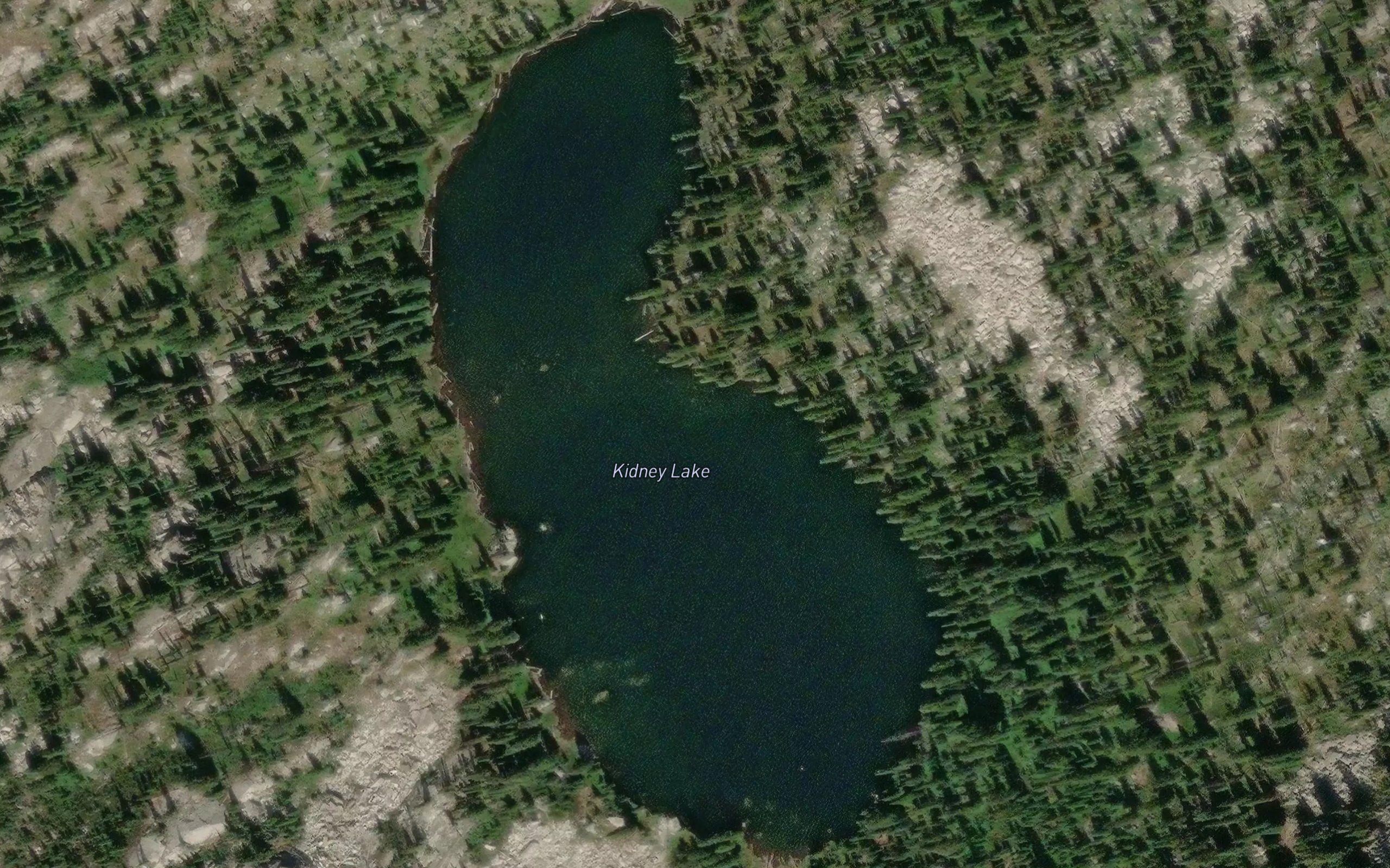 Kidney Lake