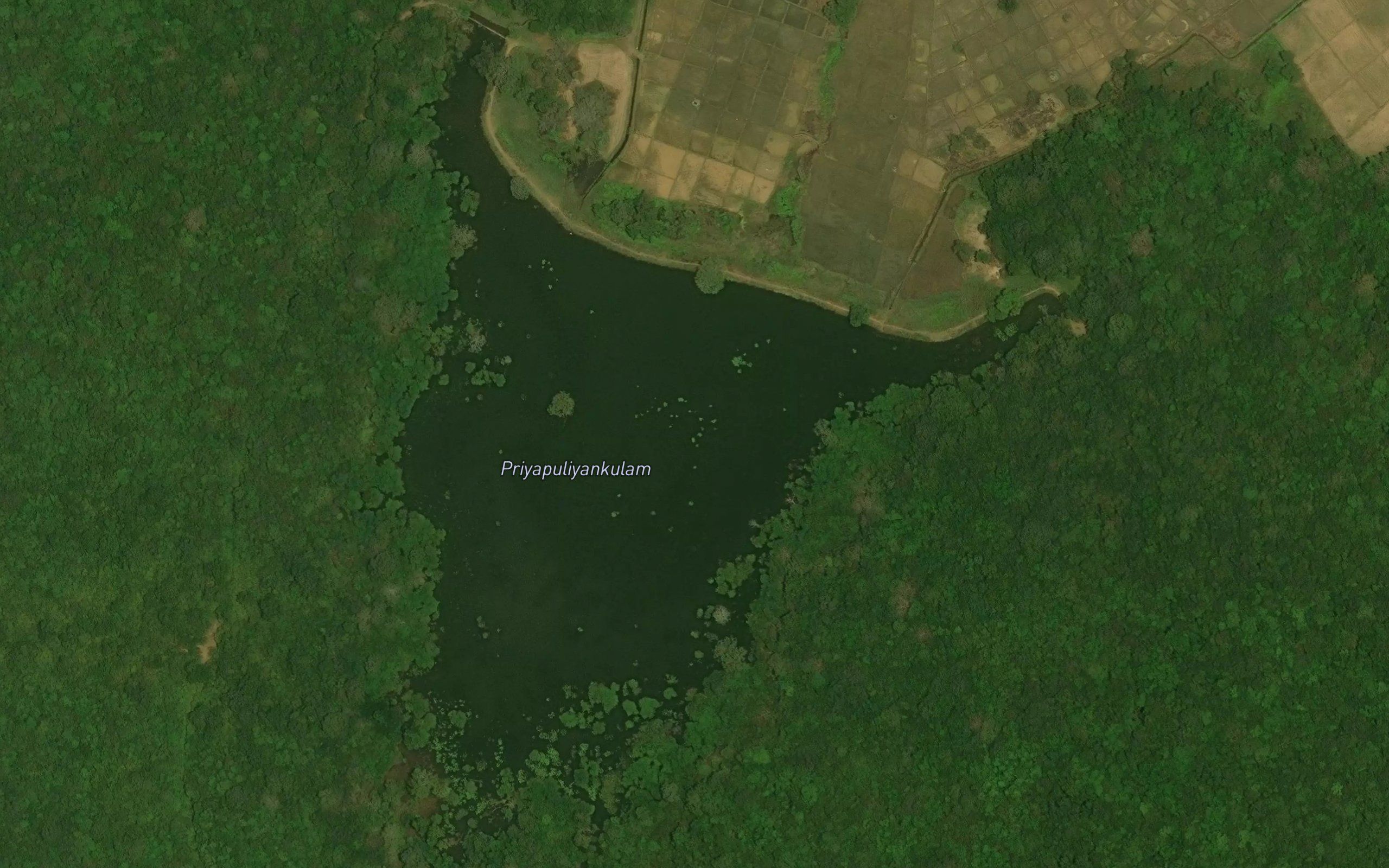 Periyapuliyan Kulam
