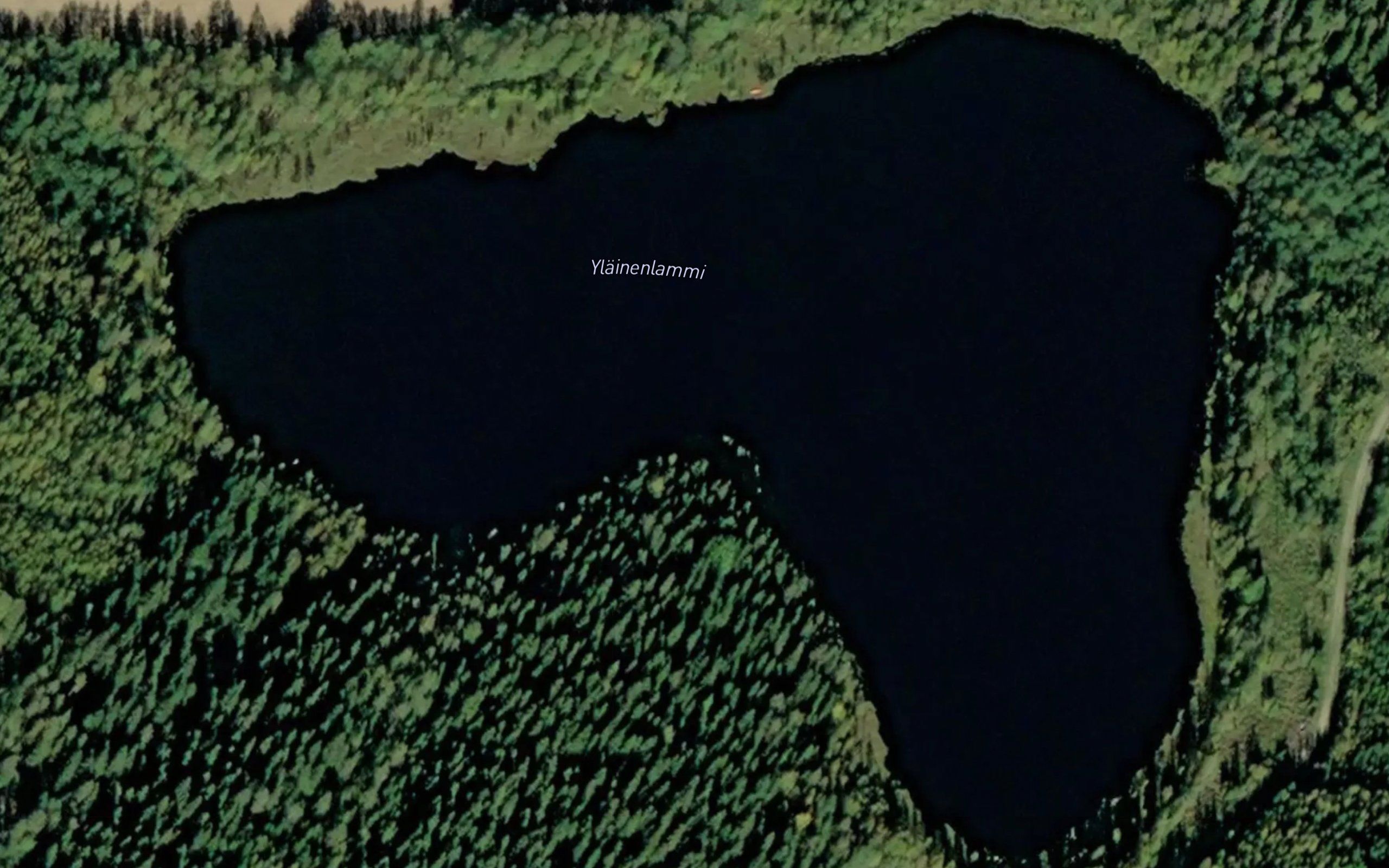 Ylainenlammi