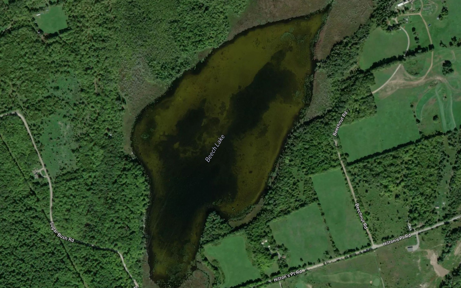 Satellite map of the Beech Lake