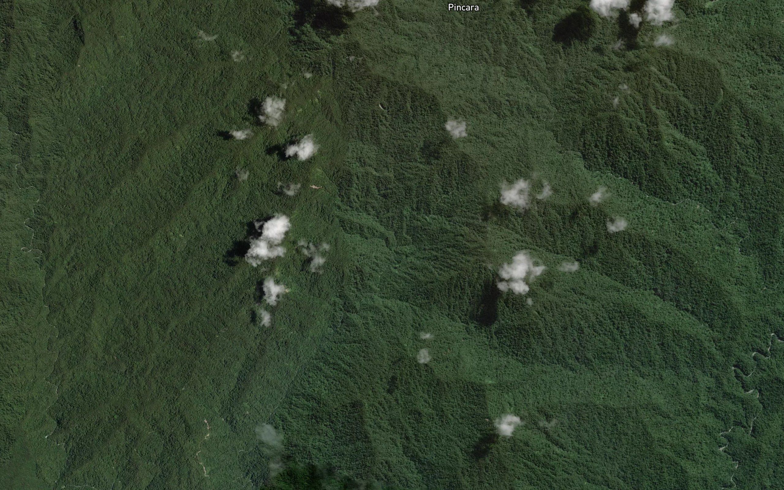 Salu Pebuak