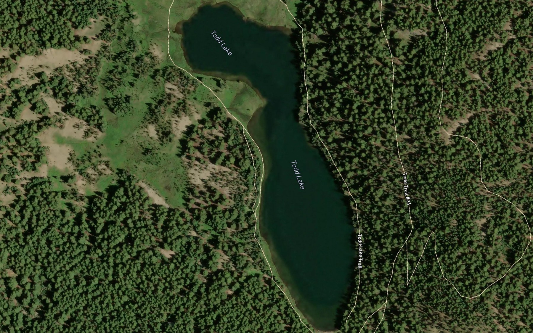 Satellite map of the Todd Lake