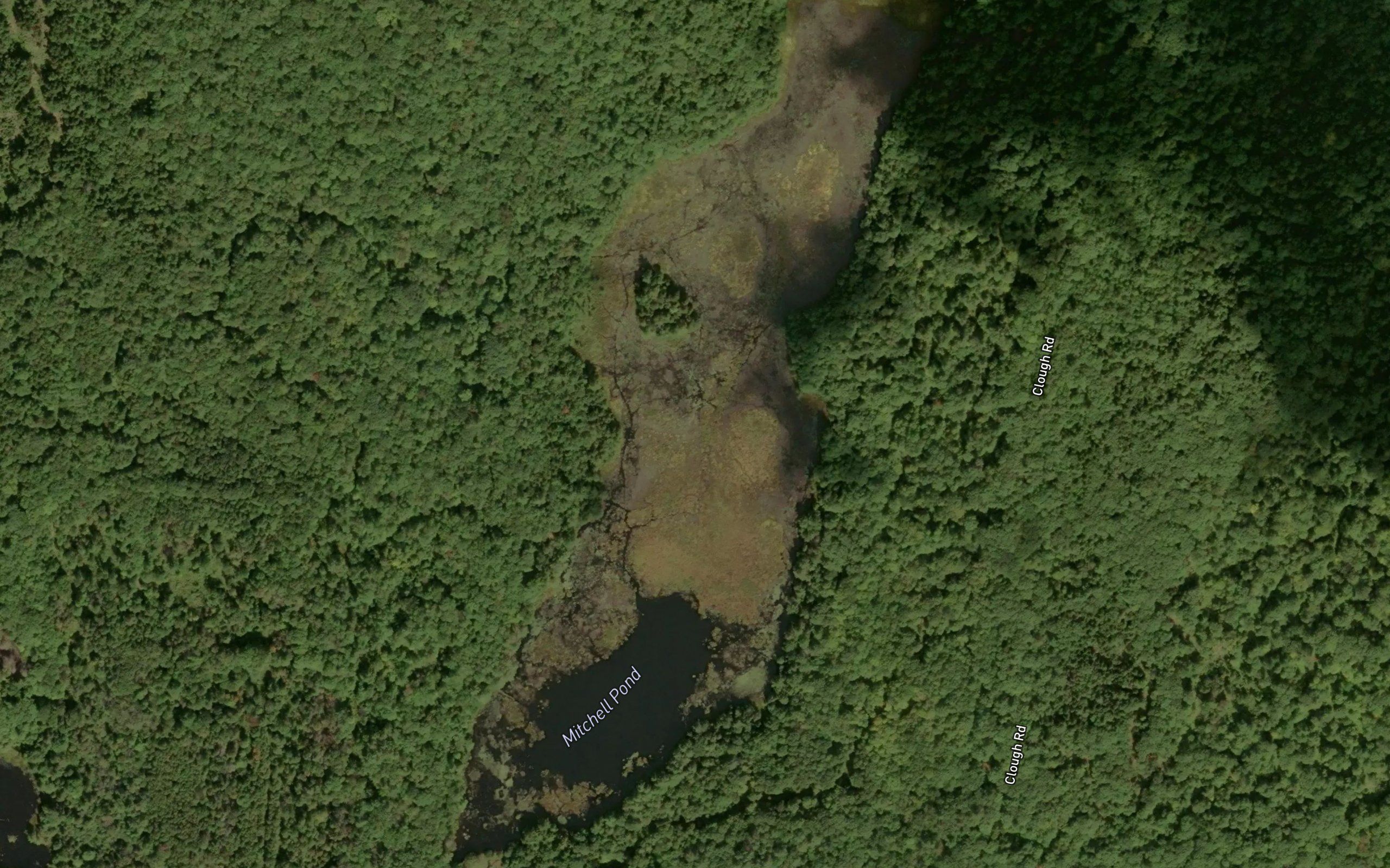 Mitchell Pond