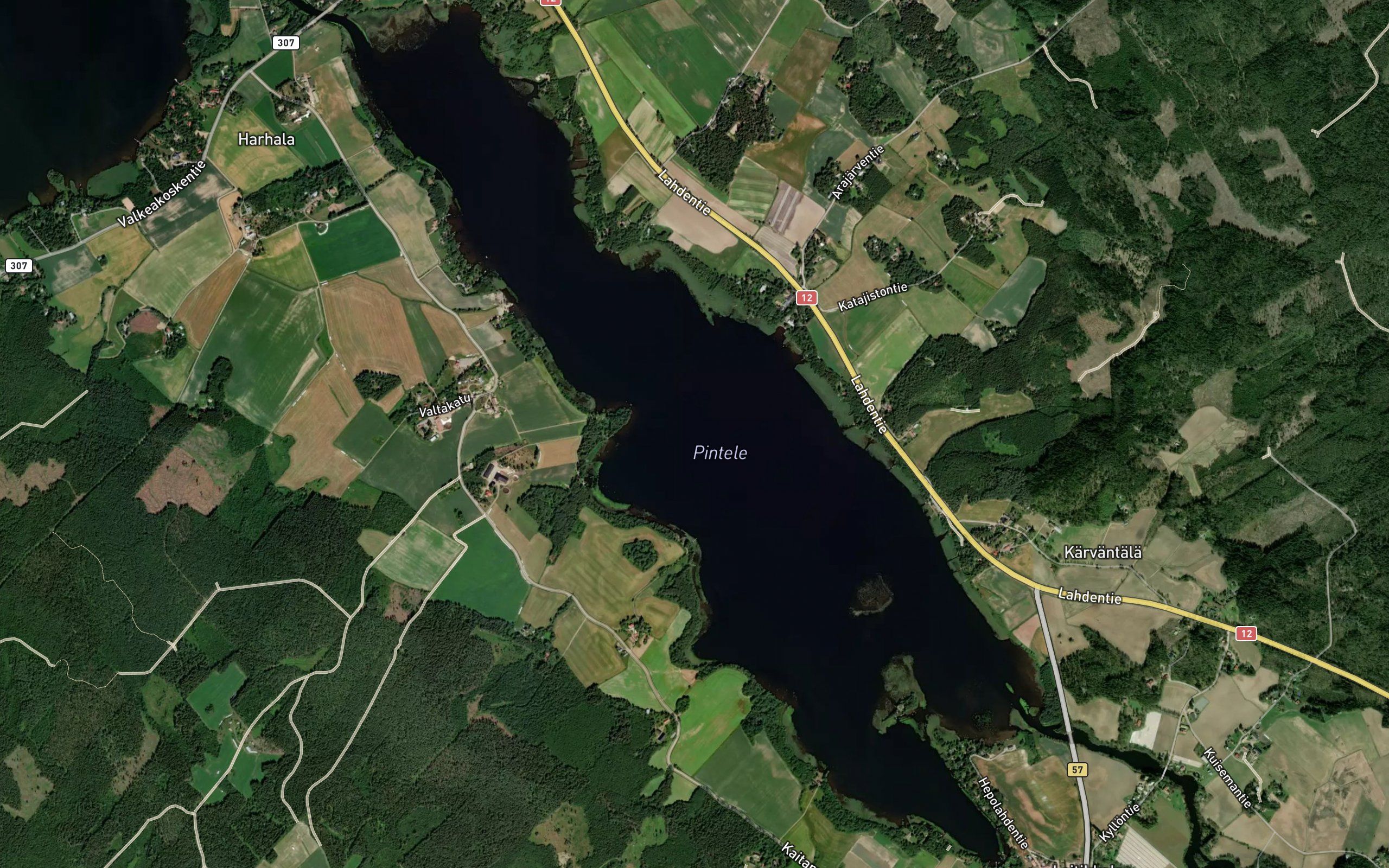 Pintele