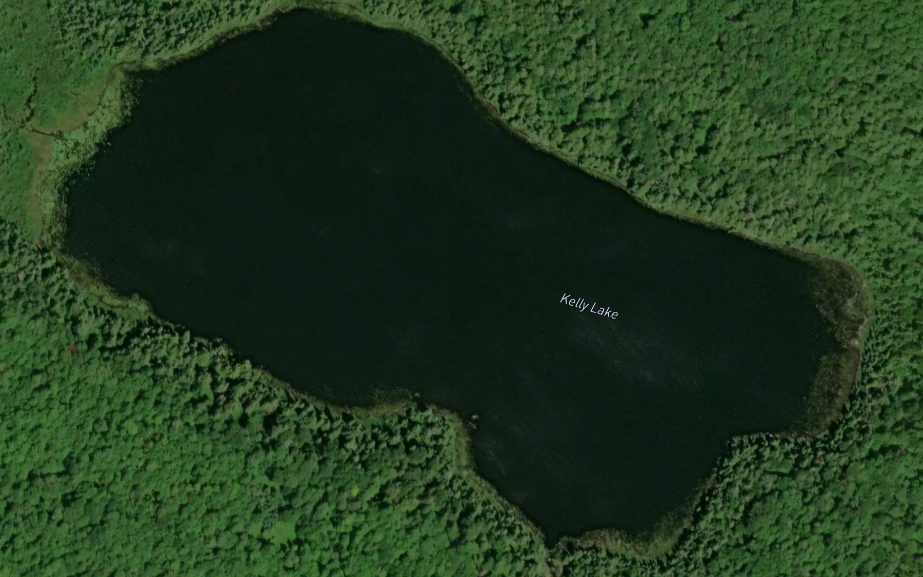 Satellite map of the Kelly Lake