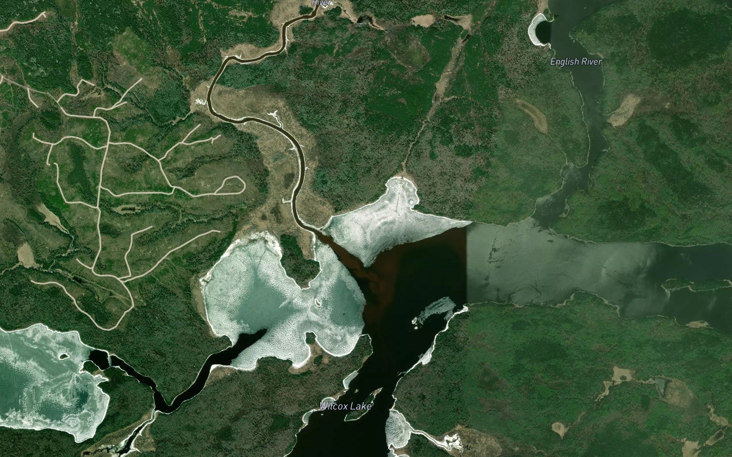 Longlegged River