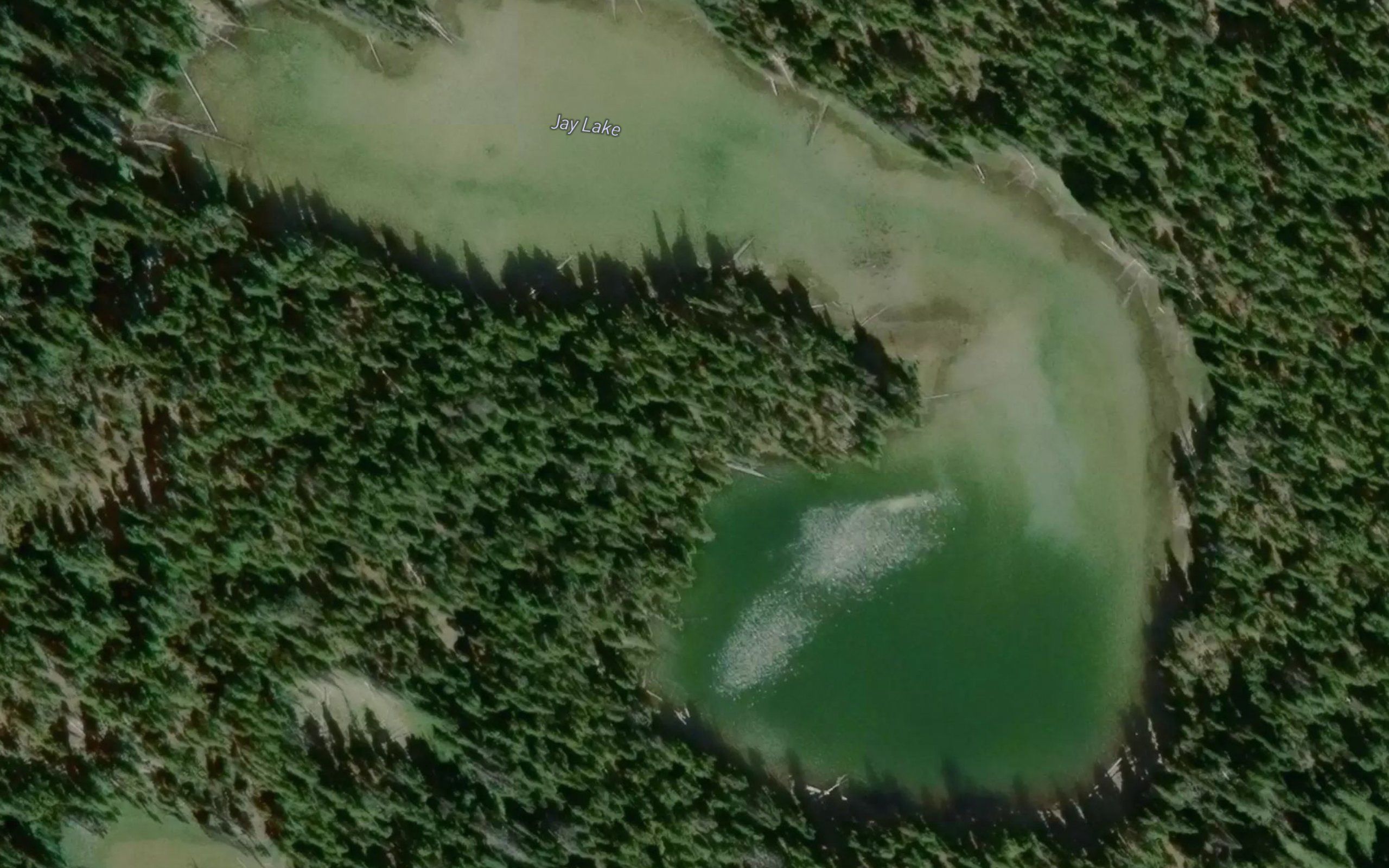 Jay Lake