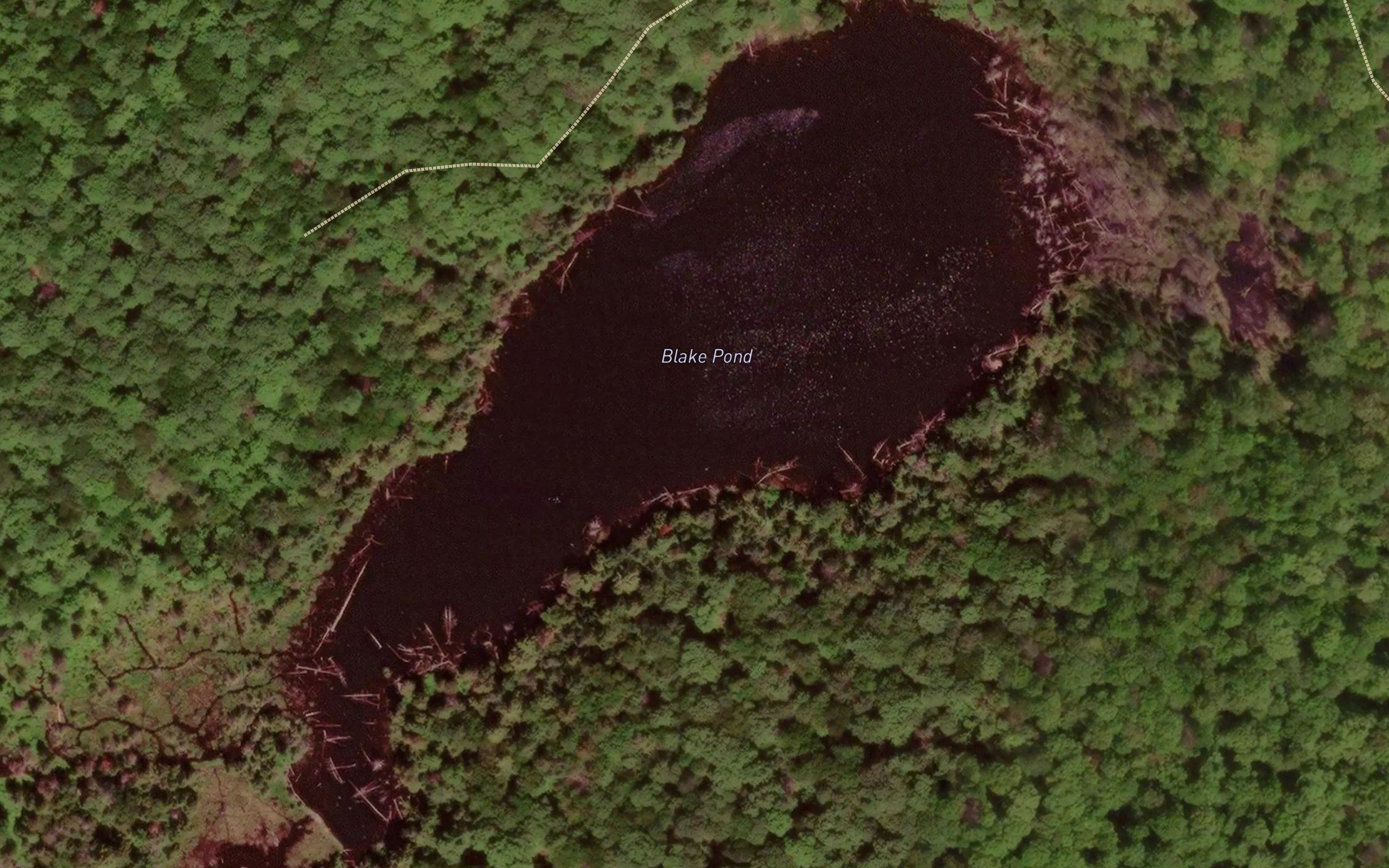 Blake Pond
