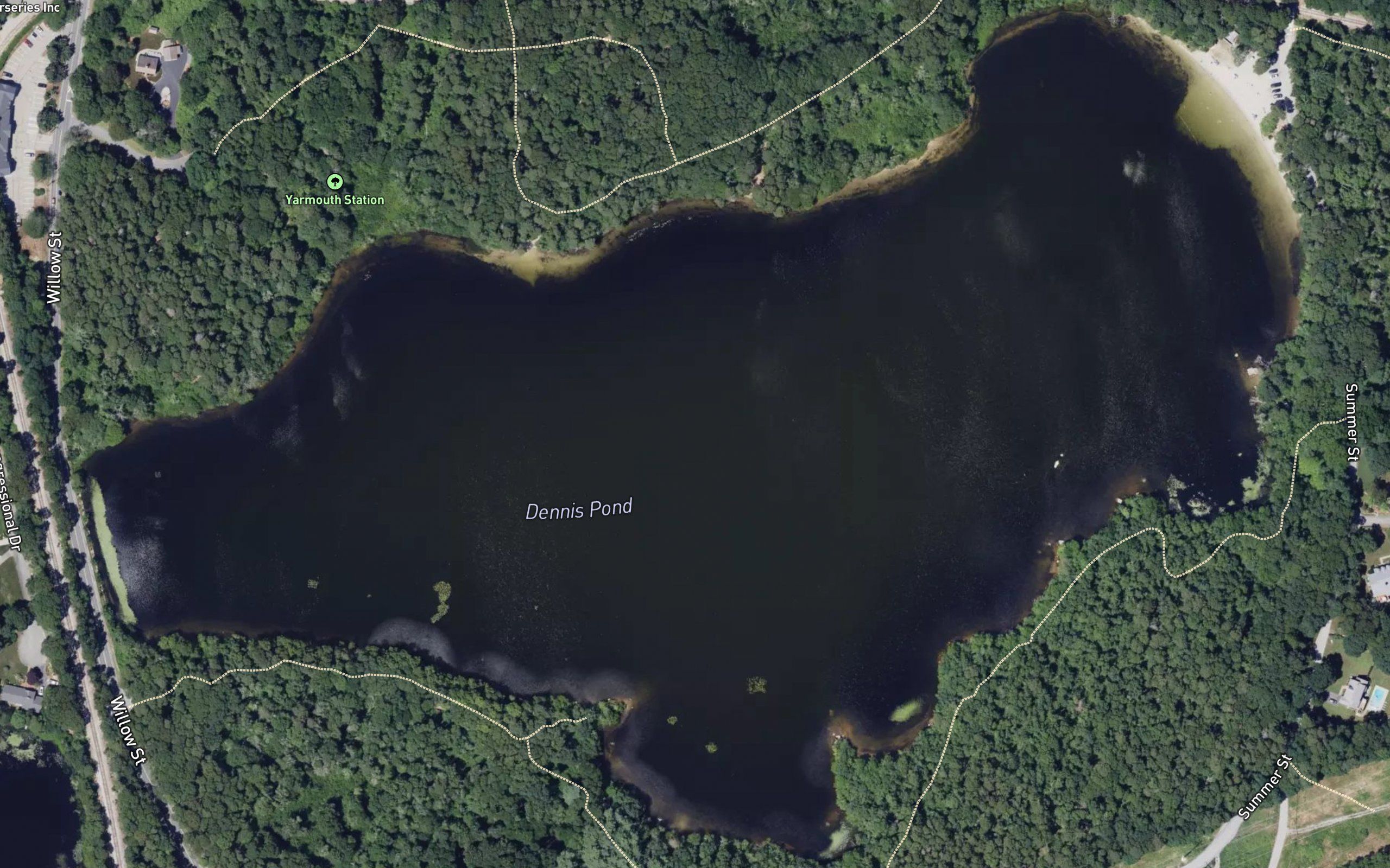Dennis Pond