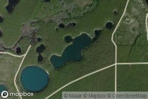 Little Blue Pond