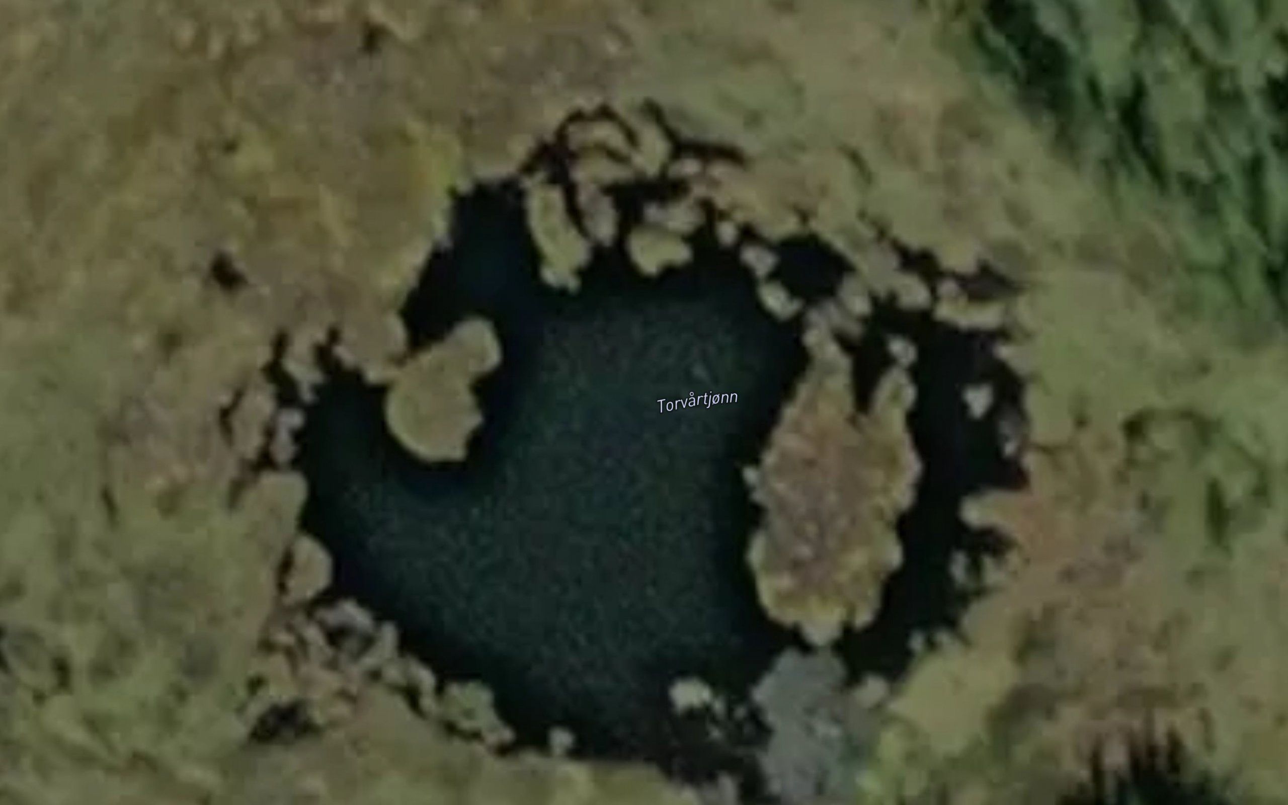 Torvartjonn