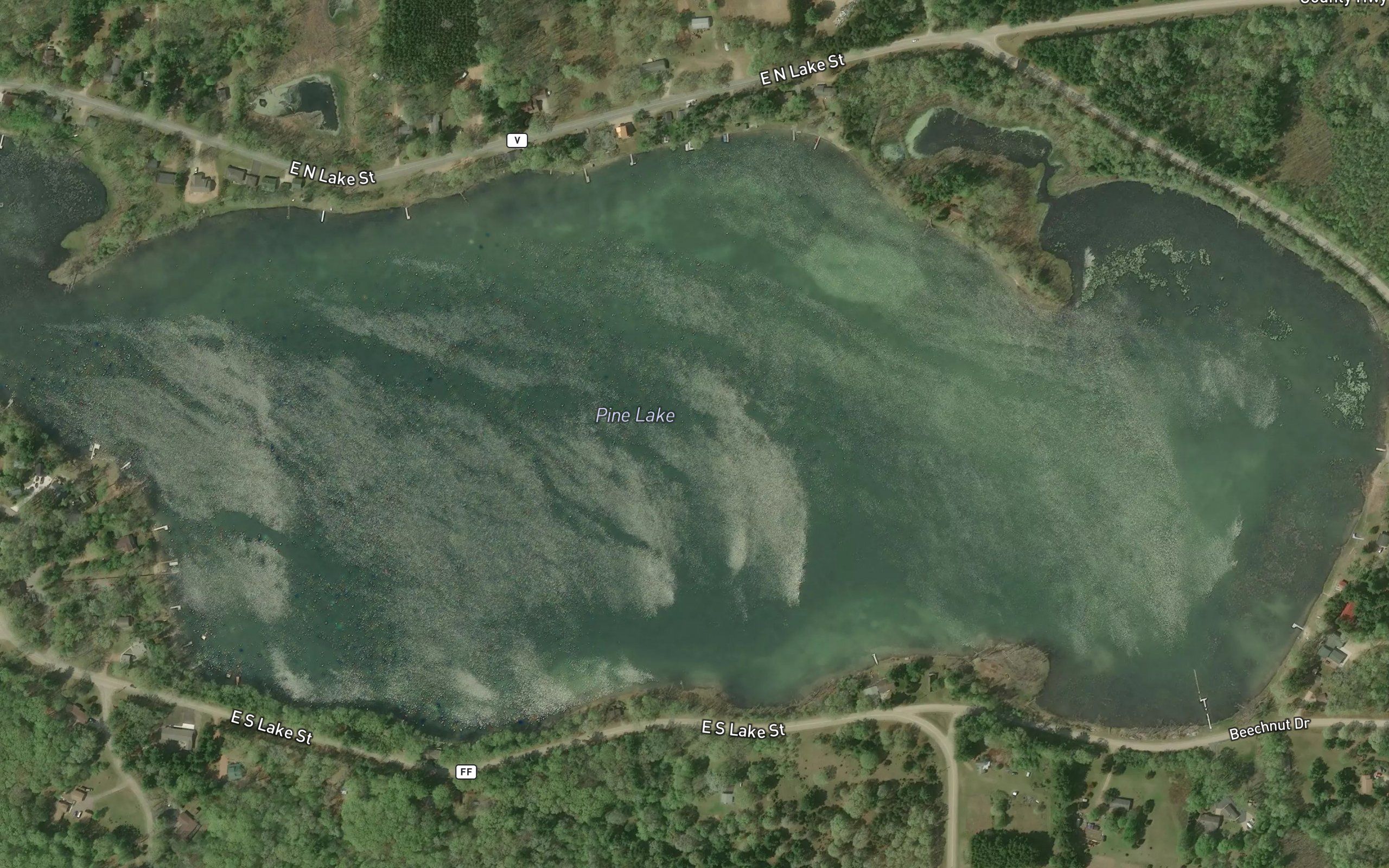 Pine Lake