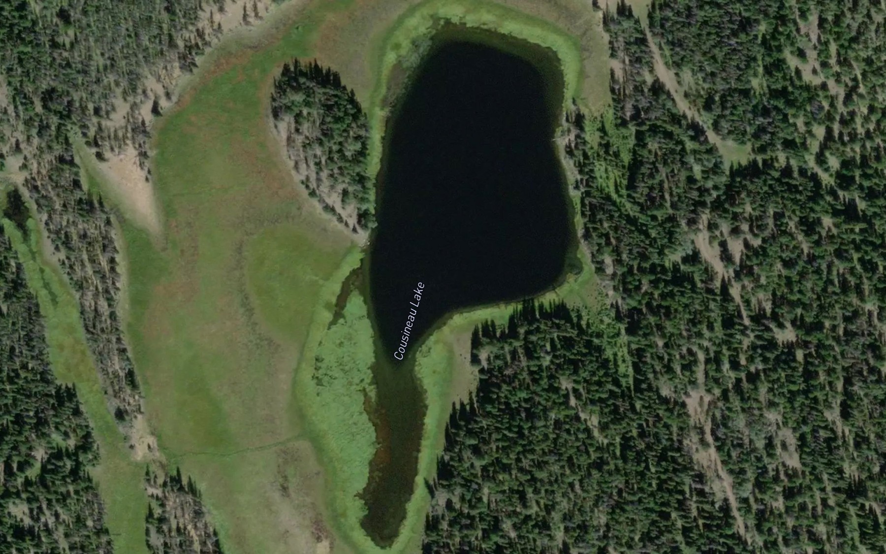 Satellite map of the Cousineau Lake