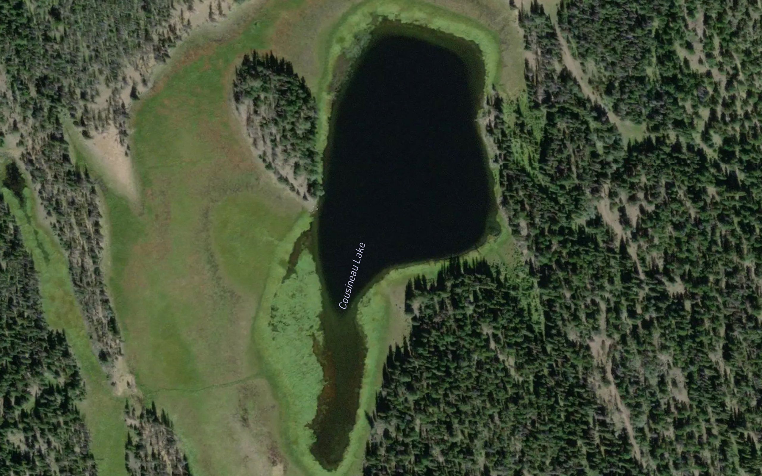 Cousineau Lake
