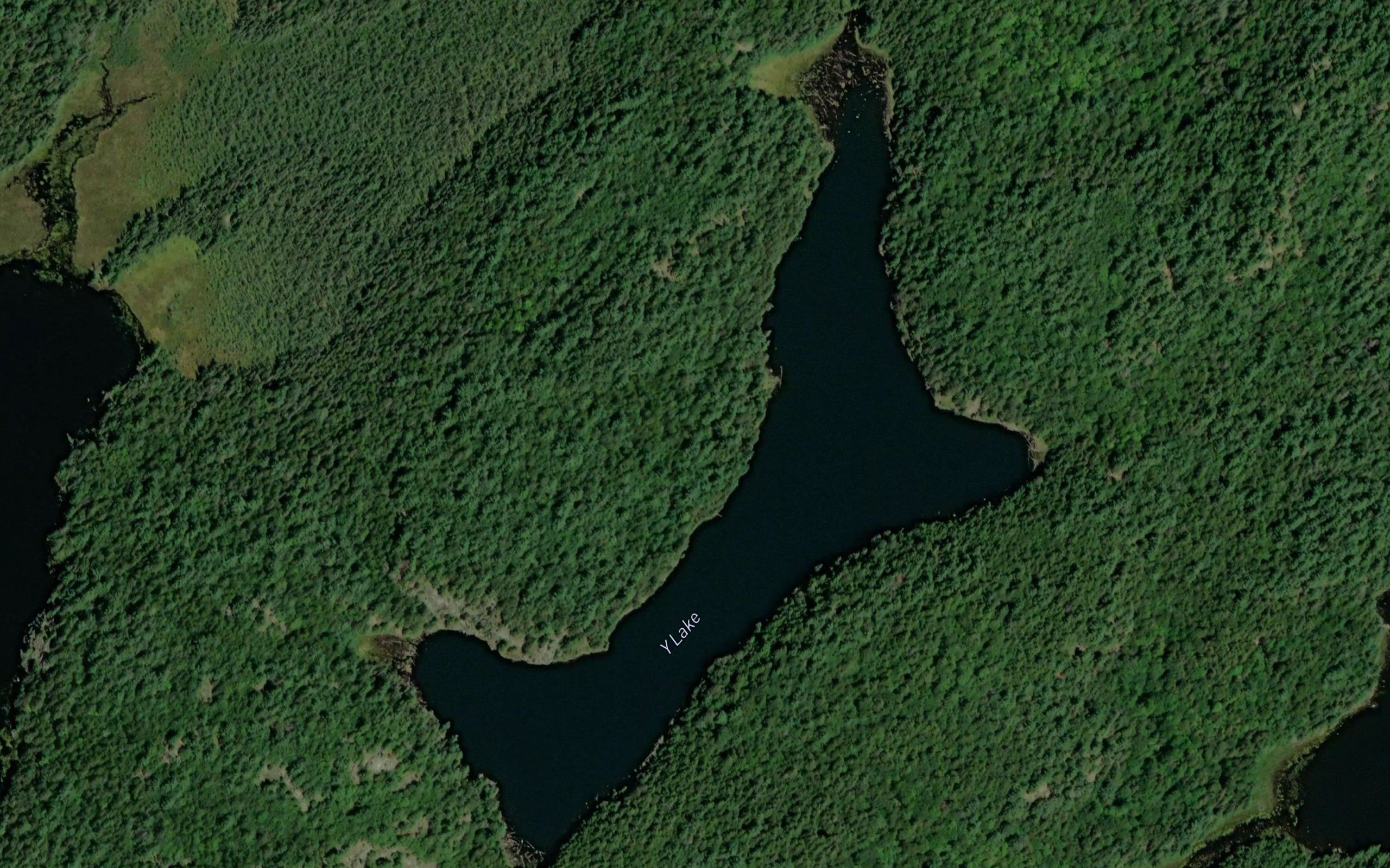 Y Lake