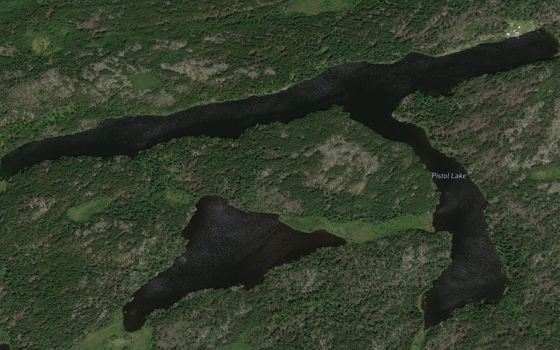 Satellite map of the Pistol Lake