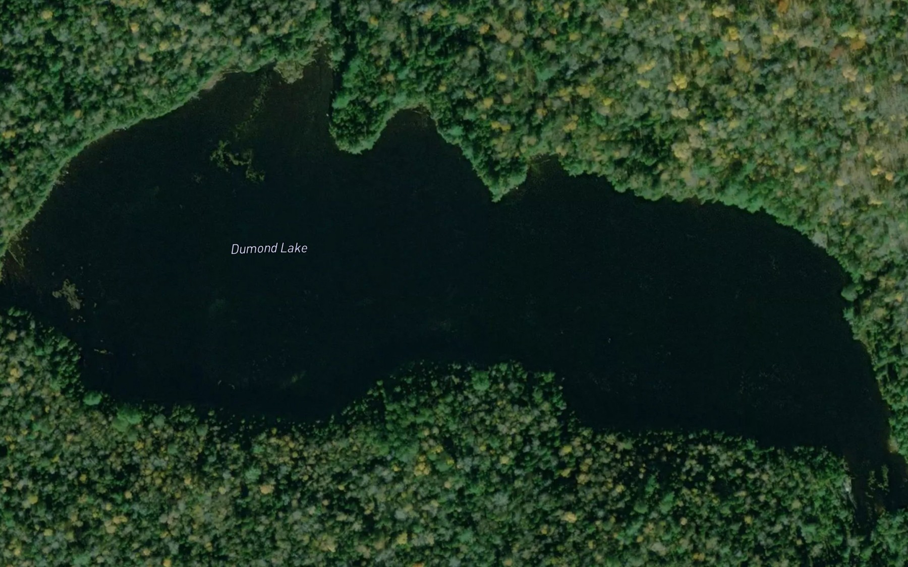 Satellite map of the Dumond Lake