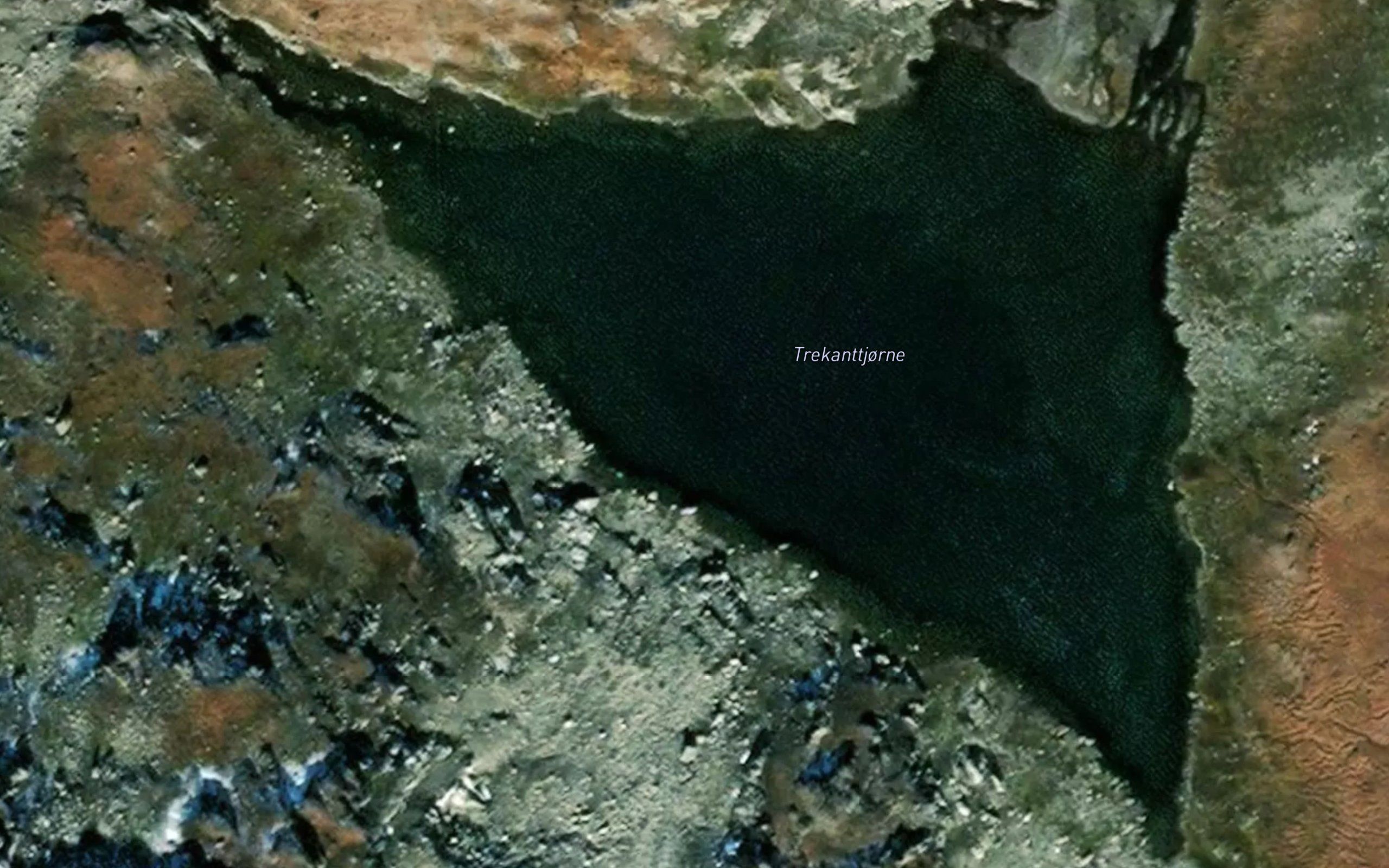Trekanttjorne