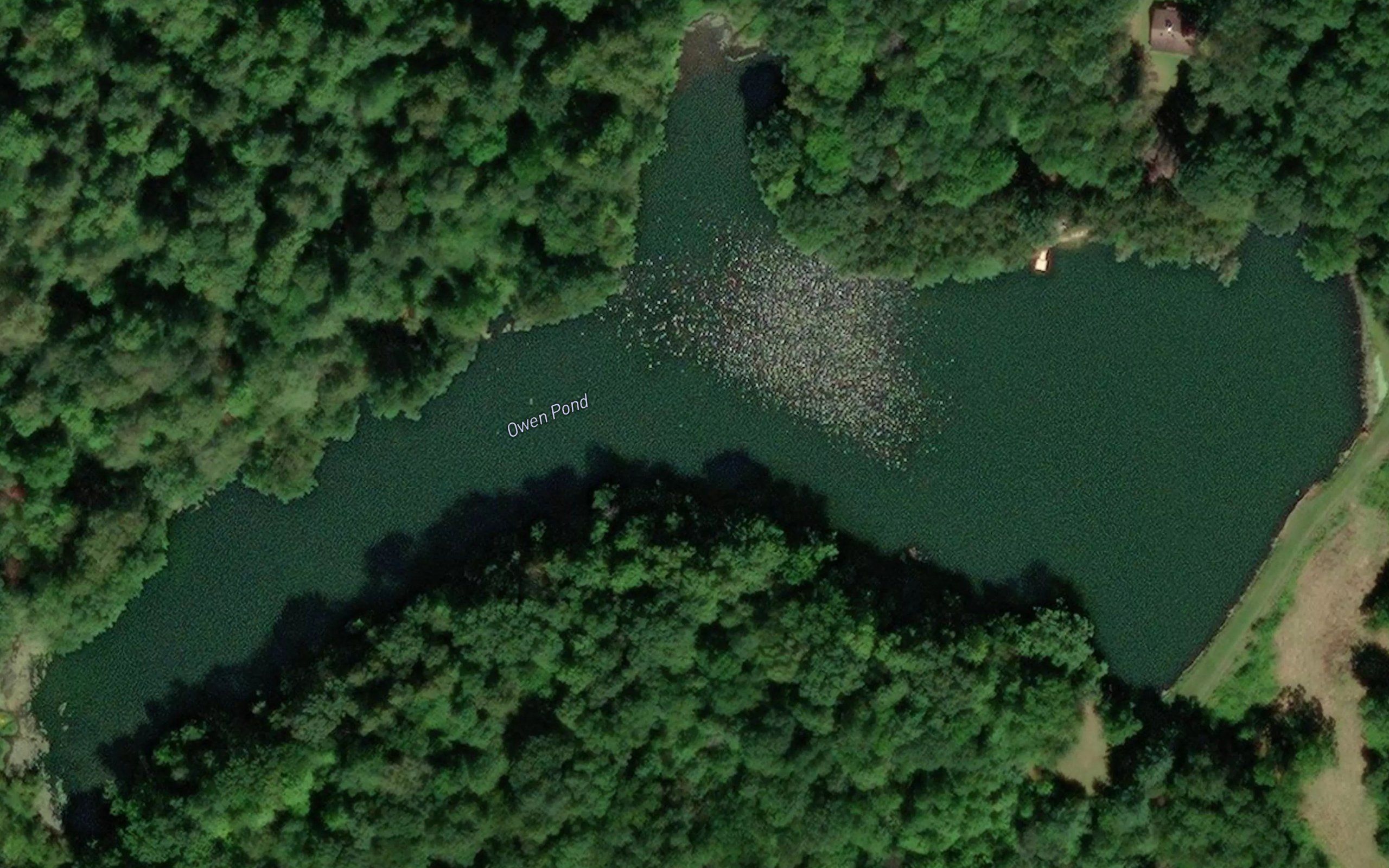 Owen Pond
