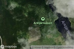 Acktjarn
