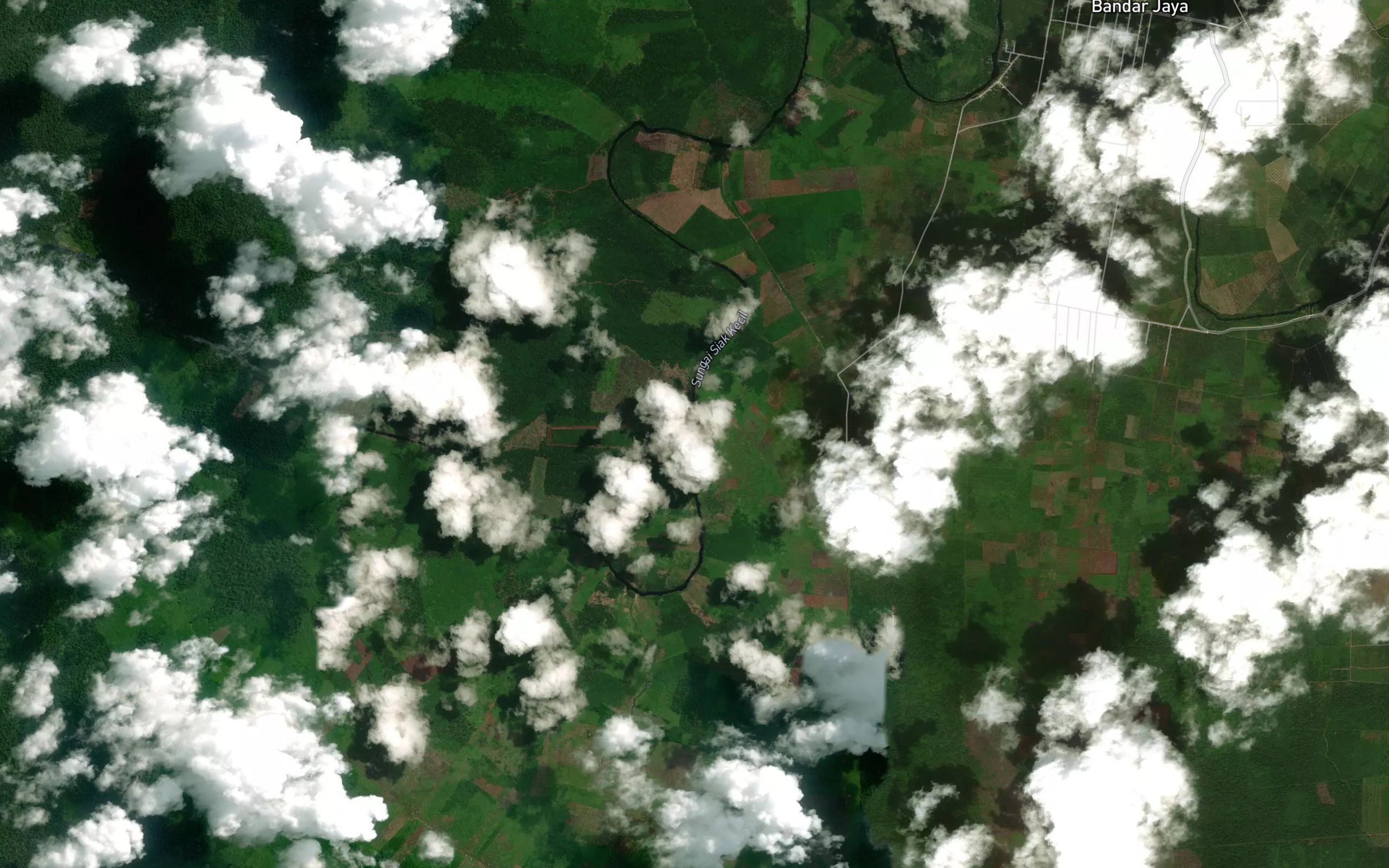 Sungai Rawa Tunggal