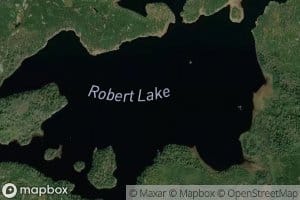 Robert Lake