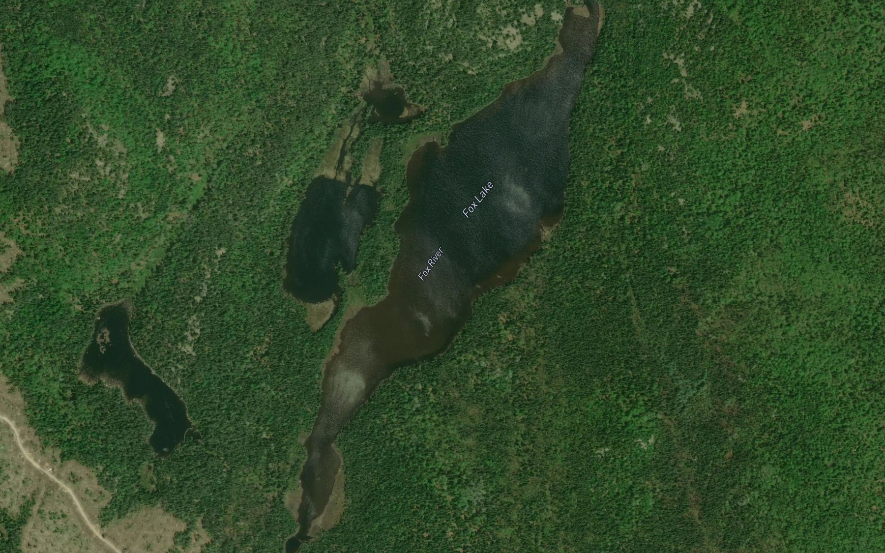 Satellite map of the Fox Lake