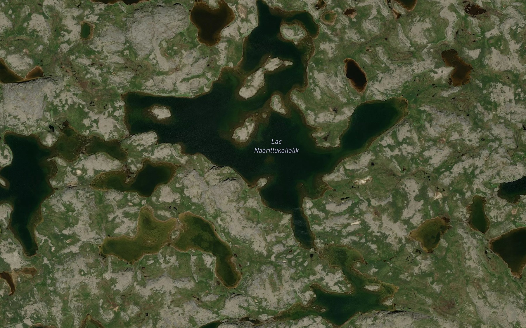 Satellite map of the Lac Naarittukallalik