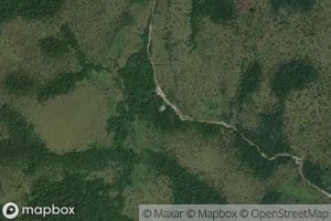 Nadi
