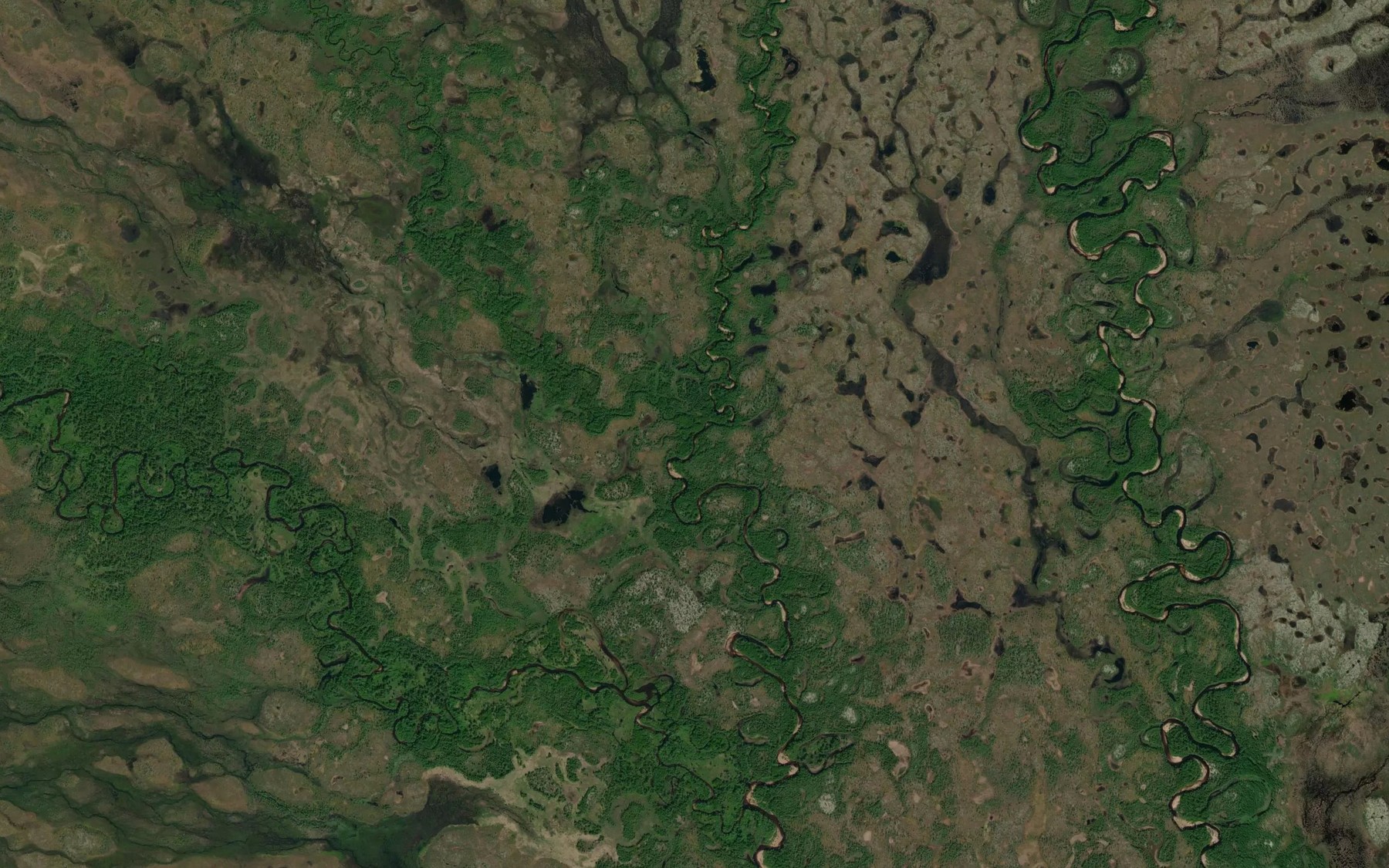 Satellite map of the Bolotnyy