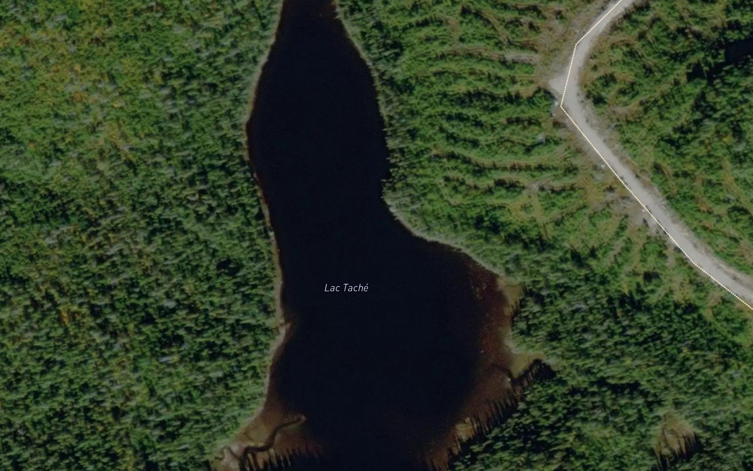Lac Tache
