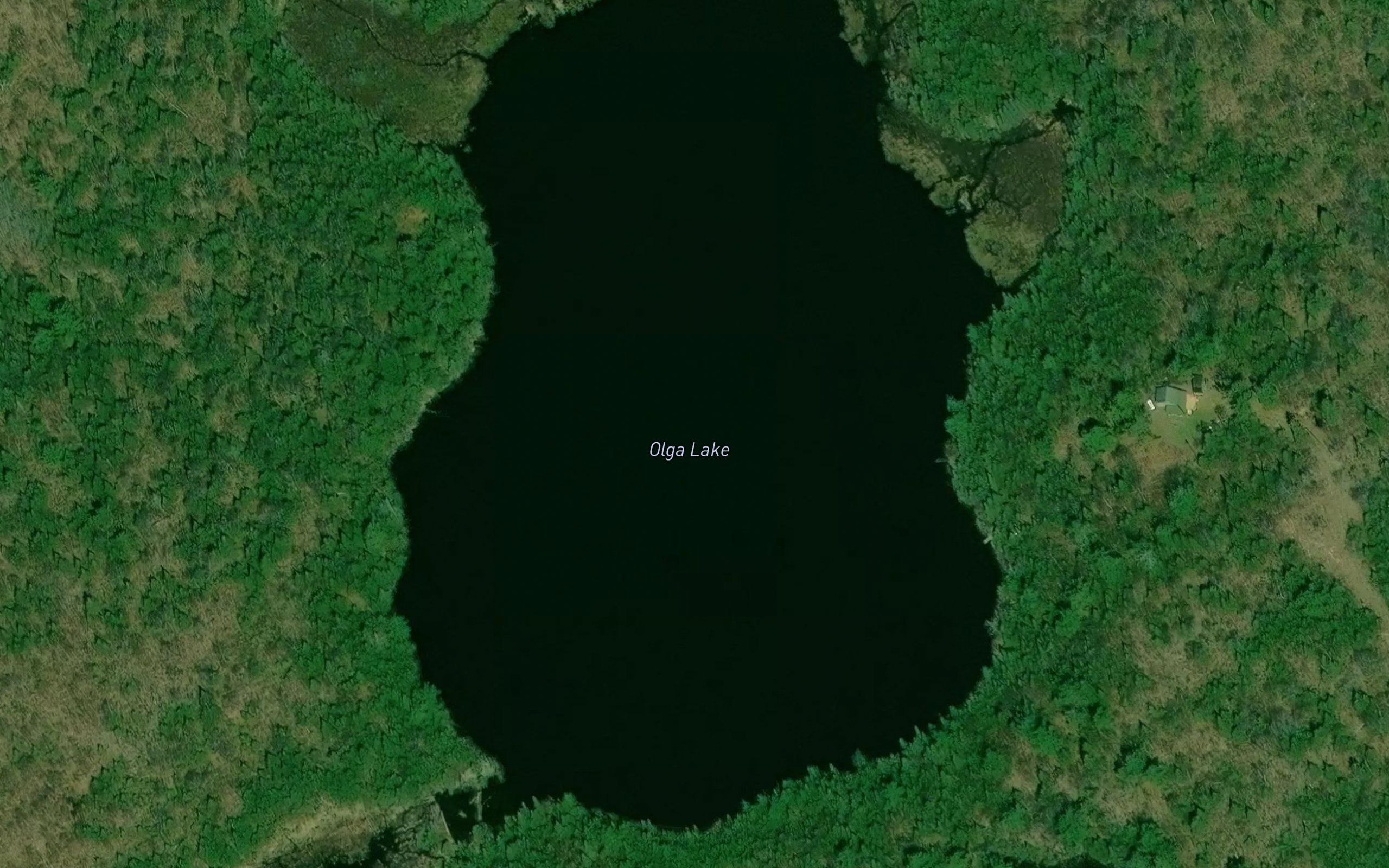 Olga Lake