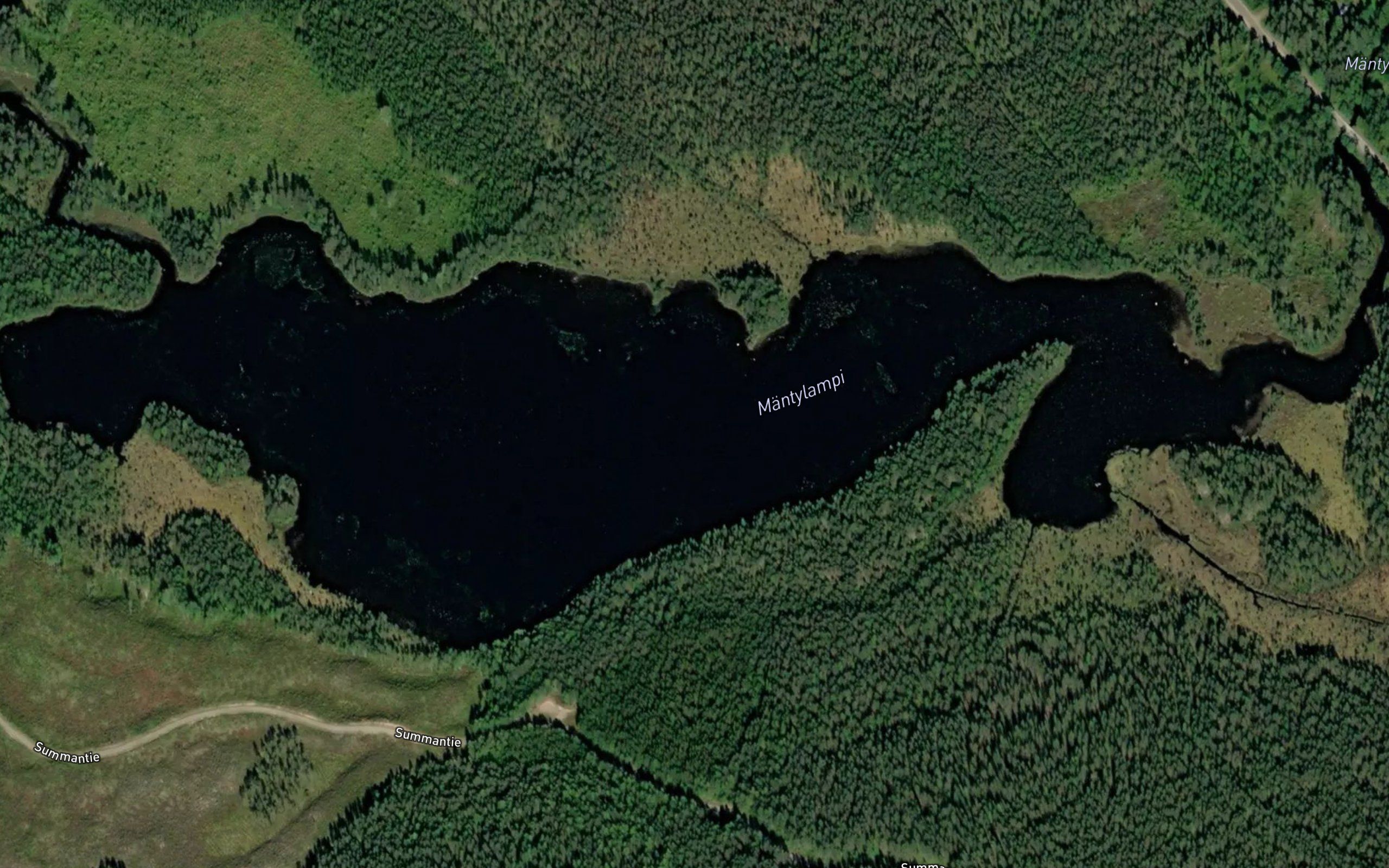 Mantylampi