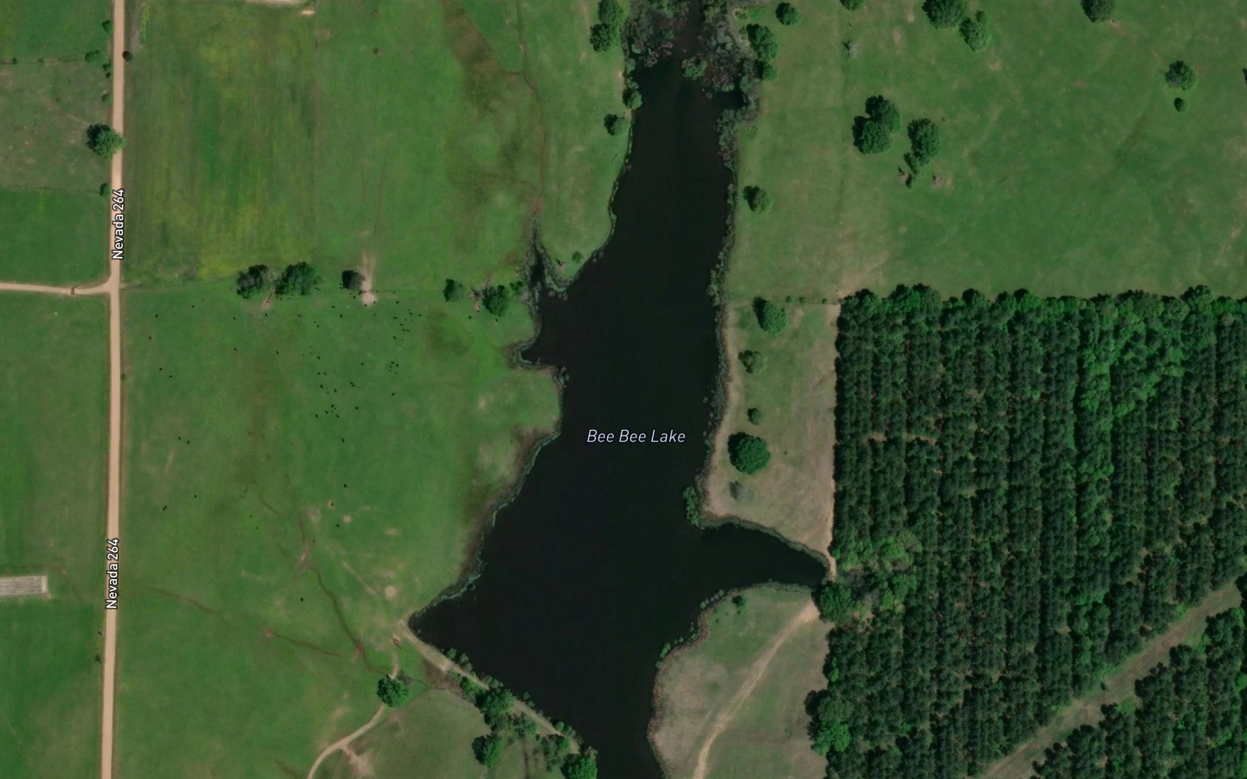 Satellite map of the Bee Bee Lake