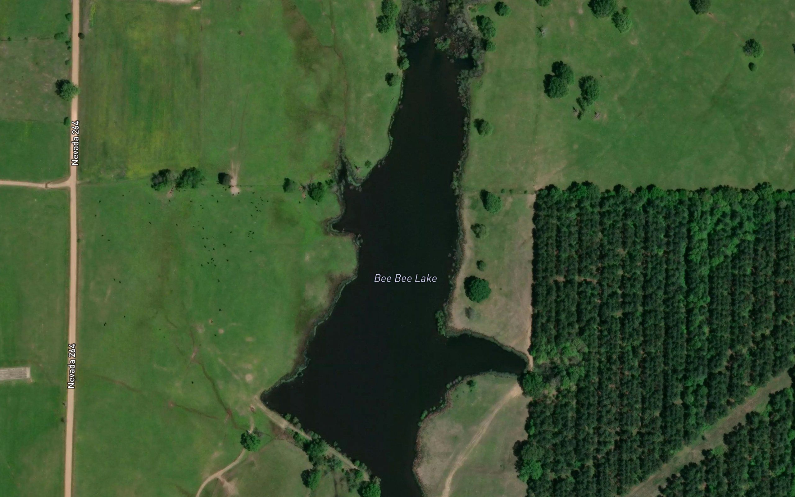 Bee Bee Lake